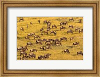 Wildebeest Migration, Masai Mara Game Reserve, Kenya Fine Art Print