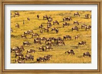 Wildebeest Migration, Masai Mara Game Reserve, Kenya Fine Art Print