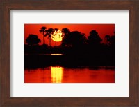 Tropical Sunset in North Central Botswana Fine Art Print