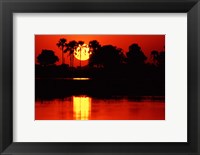 Tropical Sunset in North Central Botswana Fine Art Print