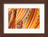 USA. Close-up of dried rainbow pasta noodles Fine Art Print