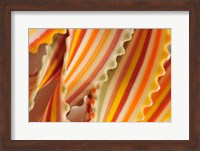 USA. Close-up of dried rainbow pasta noodles Fine Art Print