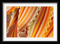 USA. Close-up of dried rainbow pasta noodles Fine Art Print