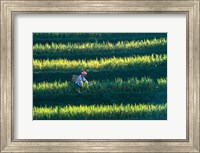 Zhuang Girl in the Rice Terrace, China Fine Art Print