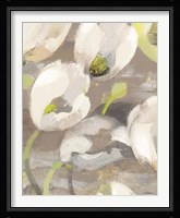 Tulip Delight I Fine Art Print