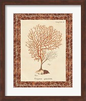 Gorgonia Granulata Marble Fine Art Print