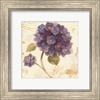 Abundant Hydrangea I Fine Art Print