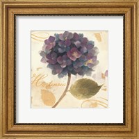 Abundant Hydrangea II Fine Art Print