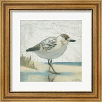 Beach Bird I Fine Art Print