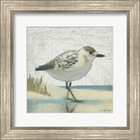 Beach Bird I Fine Art Print