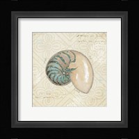 Beach Treasures III Framed Print