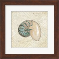 Beach Treasures III Fine Art Print