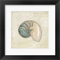 Beach Treasures III Framed Print