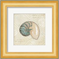 Beach Treasures III Fine Art Print