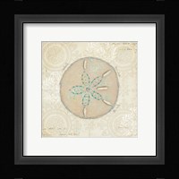 Beach Treasures IV Framed Print