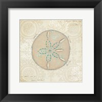 Beach Treasures IV Framed Print