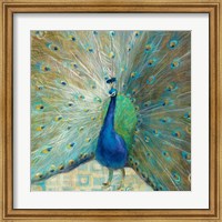 Blue Peacock on Gold Fine Art Print