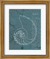 Coastal Blueprint V Dark Fine Art Print