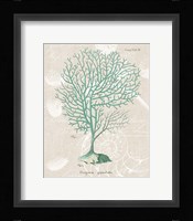 Gorgonia Granulata on Linen Sea Foam Fine Art Print