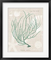 Gorgonia Miniacea on Linen Sea Foam Fine Art Print