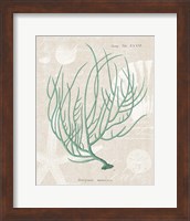 Gorgonia Miniacea on Linen Sea Foam Fine Art Print