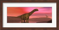 Argentinosaurus dinosaurs amongst a colorful red sunset Fine Art Print