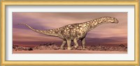 Large Argentinosaurus dinosaur walking in the desert Fine Art Print