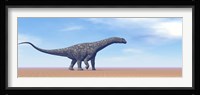 Large Argentinosaurus dinosaur walking in the desert Framed Print