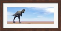Large Aucasaurus dinosaur standing in the desert Fine Art Print