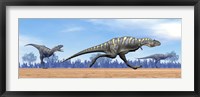 Three Aucasaurus dinosaurs running in the desert Fine Art Print