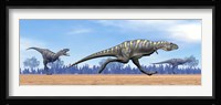 Three Aucasaurus dinosaurs running in the desert Fine Art Print
