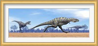 Three Aucasaurus dinosaurs running in the desert Fine Art Print