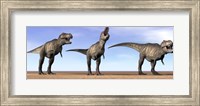 Three Tyrannosaurus Rex dinosaurs standing in the desert Fine Art Print