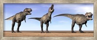 Three Tyrannosaurus Rex dinosaurs standing in the desert Fine Art Print