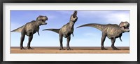 Three Tyrannosaurus Rex dinosaurs standing in the desert Framed Print