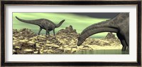 Two Dicraeosaurus dinosaurs in a desert landscape Fine Art Print