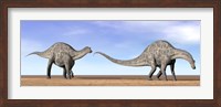 Two Dicraeosaurus dinosaurs walking in the desert Fine Art Print