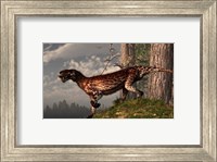 A leopard coated Lycaenops hunts among a forest Fine Art Print