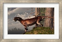 A leopard coated Lycaenops hunts among a forest Fine Art Print