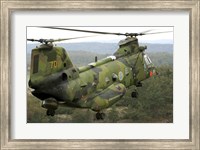 A CH-46 Sea Knight helicopter of the Swedish Air Force Fine Art Print