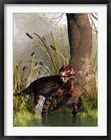 A Lycaenops stalking through a shallow prehistoric wetland Fine Art Print