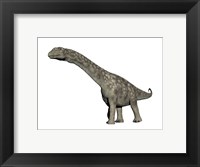 Argentinosaurus dinosaur, white background Fine Art Print