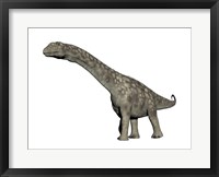 Argentinosaurus dinosaur, white background Fine Art Print