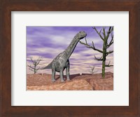 Argentinosaurus standing on the cracked desert ground next to dead trees Fine Art Print