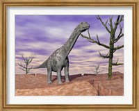 Argentinosaurus standing on the cracked desert ground next to dead trees Fine Art Print