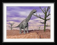 Argentinosaurus standing on the cracked desert ground next to dead trees Fine Art Print