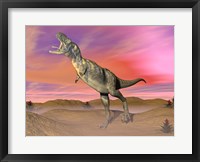 Aucasaurus dinosaur roaring in the desert by sunset Fine Art Print