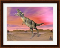 Aucasaurus dinosaur roaring in the desert by sunset Fine Art Print