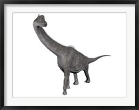 Brachiosaurus dinosaur, white background Framed Print