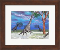 Brachiosaurus dinosaurs grazing on trees Fine Art Print
